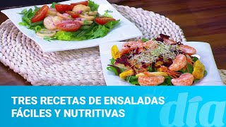 Tres recetas de ensaladas fáciles y nutritivas [upl. by Mullac72]