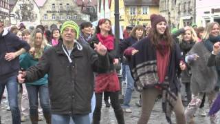 One Billion Rising Lauf an der Pegnitz [upl. by Rhiamon830]