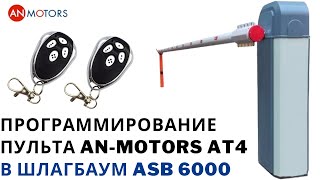 Программирование пульта AnMotors At 4 в шлагбаум ASB 6000 Обучить брелок at4 самостоятельно [upl. by Auhsuoj]