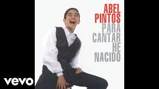 Abel Pintos  No Te Puedo Olvidar Official Audio [upl. by Brandais]