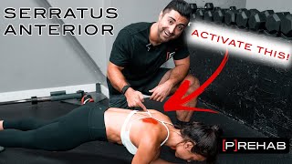 The BEST Serratus Anterior Exercises [upl. by Arytas]