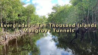 Everglades City Mangrove Swamp Airboat Ride [upl. by Nalak]