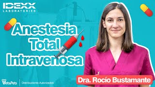 WebinarIDEXX  Anestesia Total Intravenosa  Dra Rocío Bustamante [upl. by Lynelle]