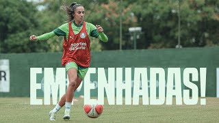 TREINO INTENSO E MUITOS GOLS NA REAPRESENTAÇÃO DAS PALESTRINAS [upl. by Dnalro]