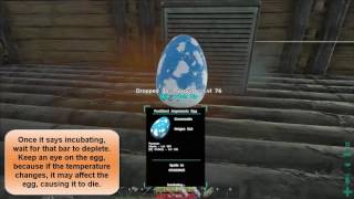 ARK Survival Evolved  Breeding Argentavis tutorial [upl. by Ahselrac]