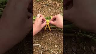 Xing Shu teaches how to use practical knots for tying vegetables [upl. by Erdei]