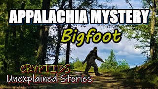 Appalachia Mystery of Bigfoot and Cryptids [upl. by Godderd]