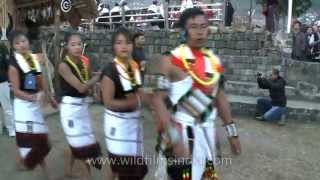 Angami folk dance performance Nagaland [upl. by Corette]