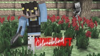 MINECRAFT BEDWARS BUT I AM COLOURBLIND  TRITANOPIA  HIVE MC [upl. by Nereids]