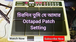 Octapad Patch Setting  চিরদিনি তুমি যে আমার Roland Spd 20Pro Tone Edit  Antu  Dil Mein ho tum [upl. by Darom400]