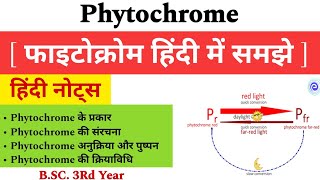 Phytochrome  Phytochrome in Hindi  Pr And Pfr  Phytochrome Notes  Phytochrome Animation [upl. by Linkoski]