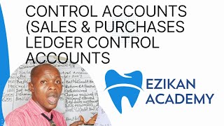 Control Accounts Sales Purchases Ledger Control Account Financial Accounting [upl. by Ahseetal]