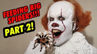 Pennywise feeds HUGE Spiders PART 2  NEW CREEPY CRAWLIES  Prince De Guzman Transformations [upl. by Vallery]