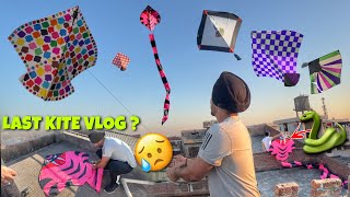 Flying kites in Australia 😱 Australia kite vlog soon  Kite Fight [upl. by Ahseinat]