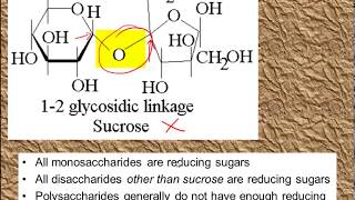 Monosaccharides and Disaccharides for ALevel Biology [upl. by Mullac159]