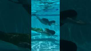 Couples mermaid swim session 😂😂 Finfolk sent me and Voicesofjake these incredible tails [upl. by Aneeres]