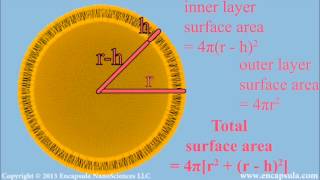 Liposome size calculation [upl. by Isidoro659]