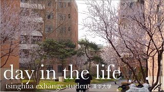 study abroad diaries ep 3 realistic day in the life as a tsinghua exchange student [upl. by Cristoforo]