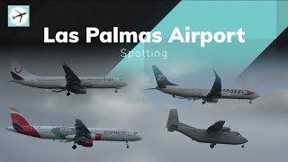 B789 A332 A321 B739ER A320 B738 A319 ATR72 C212  Las Palmas Airport  Spotting [upl. by Kandy]