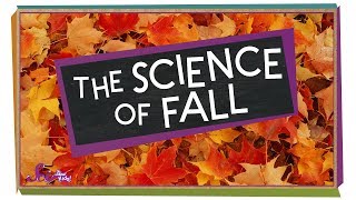 The Science of Fall  Compilation  SciShow Kids [upl. by Kreitman]