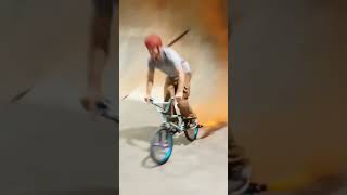 Rob Ridge BMX Freestyle Spit and Sawdust Skatepark 2017  pt4 [upl. by Enelez]