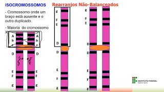 Citogenética  Alterações estruturais  translocação  trissomia parcial  genética  humana [upl. by Bohs]