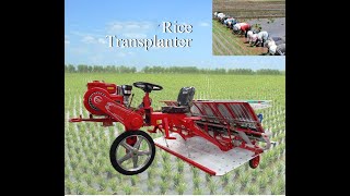 Automatic rice transplanter for tractor paddy transplanter machine  rice transplanter price [upl. by Atisor]