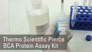 BCA Protein Assay Reagent bicinchoninic acid [upl. by Sarat]