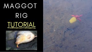 Carp fishing maggot rig  The Best Simple Maggot Rig for Big Carp [upl. by Leclair]