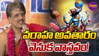 వరాహ అవతారం వెనుక వాస్తవం Lord Vishnu  Varaha Avatar Story  Varaha Avatar Story  RTV [upl. by Nyleuqaj]