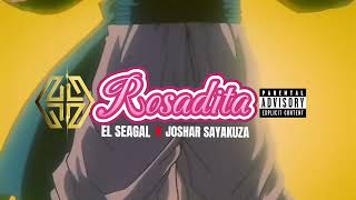 El Seagal ❌ Joshar Sayakuza  Rosadita 🇨🇱 [upl. by Brinna]