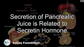 Secretion of Pancreatic Juice is Related to Secretin Hormone Biology Lecture  Sabaqpk [upl. by Ahtebbat]