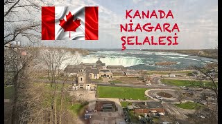 Niagara Şelalesi  Canada Torontodan Niagaraya Nasıl Ucuza Gidilir [upl. by Nyleahcim]