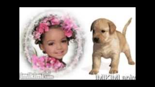 IMIKIMI Animated Dog and Puppy Photo Frames by Photo Fun Art [upl. by Anires]