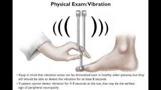 Brief Physical Examination for Peripheral Neuropathy [upl. by Akeme790]