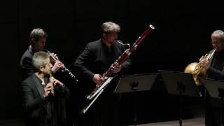 2017 Perigee Hall Moraguès Woodwind Quintet  W A Mozart [upl. by Melony697]