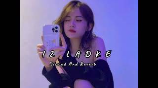 12 ladke  slowed and reverb Tony kakkar  Neha Kakar  lofi song lofimix newlofisongs [upl. by Schear]