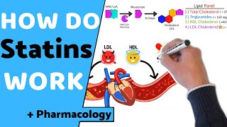 How do Statins Work  Pharmacology [upl. by Enineg]