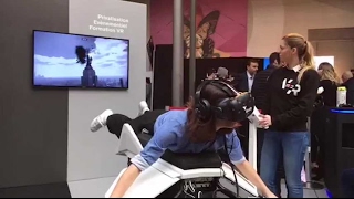 Volez comme un oiseau en réalité virtuelle [upl. by Nelli]