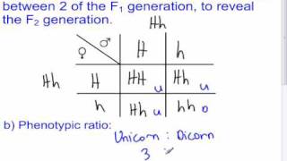 Genetics  5  Punnett Squares  Sci 10 May30 [upl. by Oicaro]