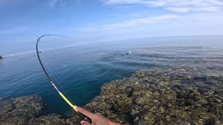 UL Ep31 Ginulat agad ako pagbalik sa casting  Ultralight Fishing  Shore casting Philippines [upl. by Anyek]