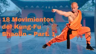 Los 18 movimientos básicos del KungFu de Shaolín – Parte 1 [upl. by Sophronia]