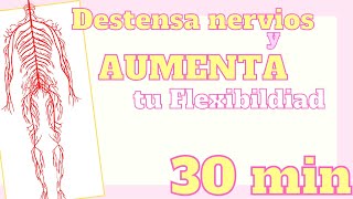 RUTINA de NEURODINAMIA Aumenta tu Flexibilidad y libera tensión [upl. by Bree]