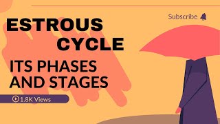 Estrus Cycle and Its Phases and Stages [upl. by Eednac]