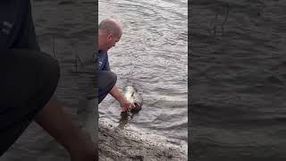 Neighbor John catches a pond bass in Port St Lucie FL [upl. by Shewmaker]