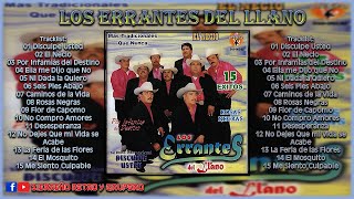 LOS ERRANTES DEL LLANO  15 Éxitos DISCO DE ESTUDIO [upl. by Jarietta]