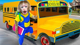 KiKi Monkey tries to catch Magic School Bus in time  KUDO ANIMAL KIKI [upl. by Goto]