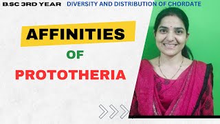 Affinities Of Prototheria BSc 2nd YearDiversity and Distribution Of ChordatesCore Paper v [upl. by Anil]