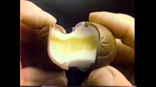 Cadbury Creme Eggs Commercial Early 80s [upl. by Ynohtona]