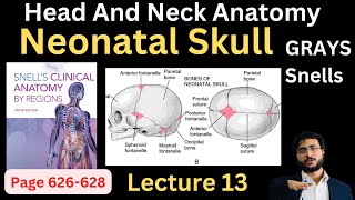 Neonatal Skull  Fontanelle  Head and Neck Anatomy  headandneckanatomy [upl. by Hterag]